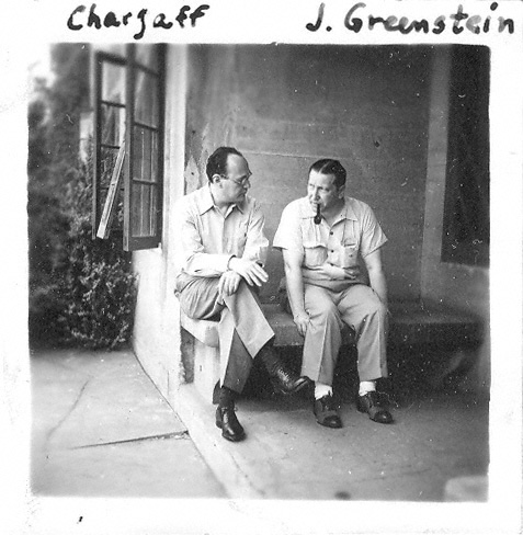 Chargaff, Greenstein, J.